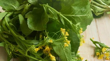 Conheça os benefícios das folhas de mostarda para sua dieta