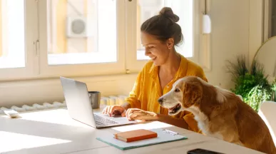 política de home office