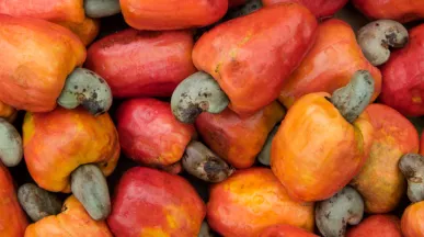 Saiba os benefícios do caju para sua saúde