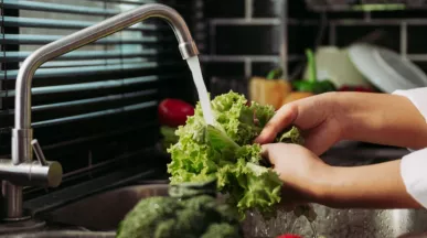 guia legal do vale alimentação