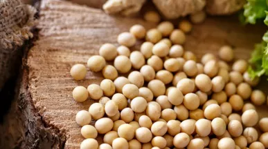 receita salada de soja em grãos com talos