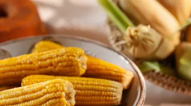 superalimento milho