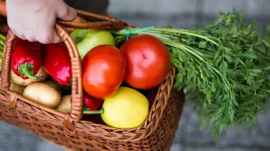 vantagens do pat para pequenas empresas