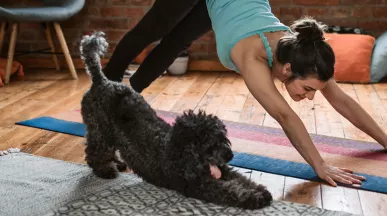Dicas para manter uma rotina saudável em casa
