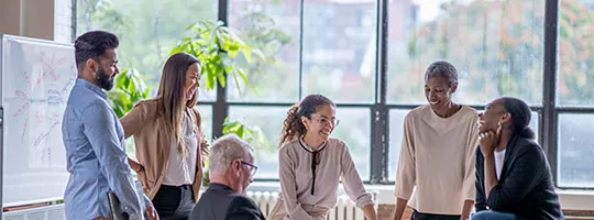 Grupo de funcionários participa de uma reunião