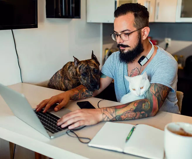 Homem trabalha de casa com dois pets